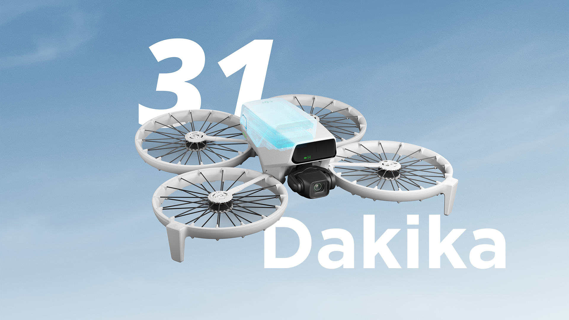 DJI Flip