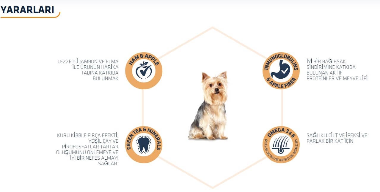 Advance Yorkshire Terrier Yetişkin Köpek Maması