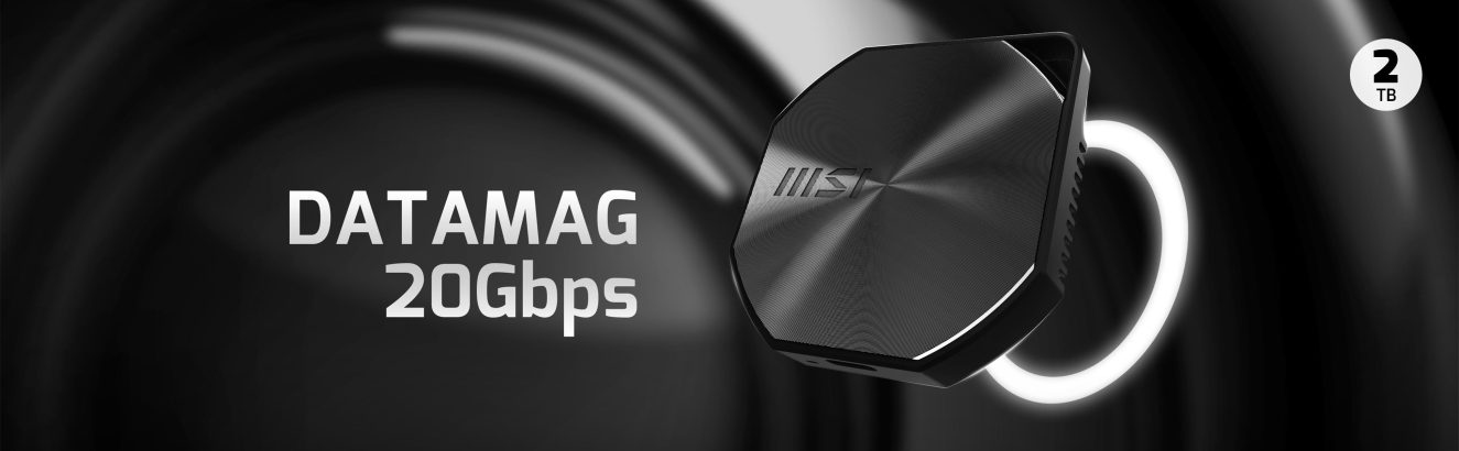 MSI DATAMAG 20Gbps 2TB Taşınabilir SSD H1
