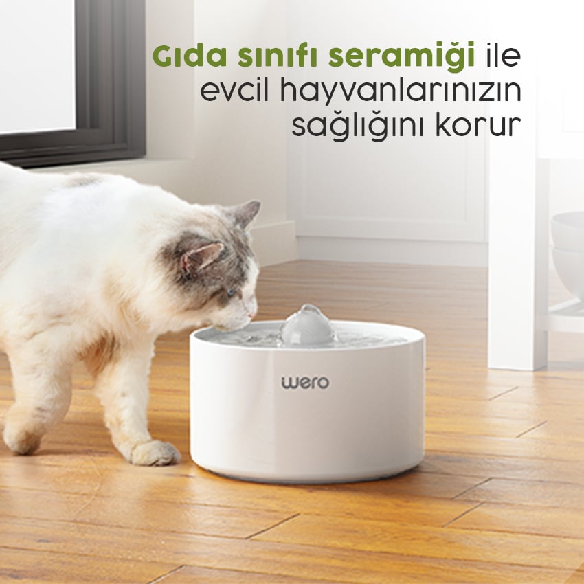Sağlıklı ve Güvenli Seramik