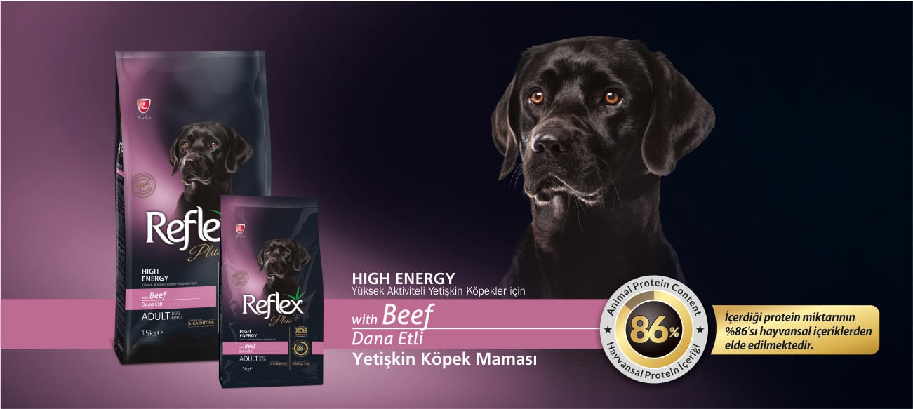 Reflex Plus Biftekli High Energy Yetişkin Köpek Maması