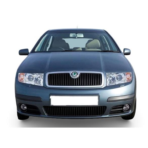FABİA SKODA