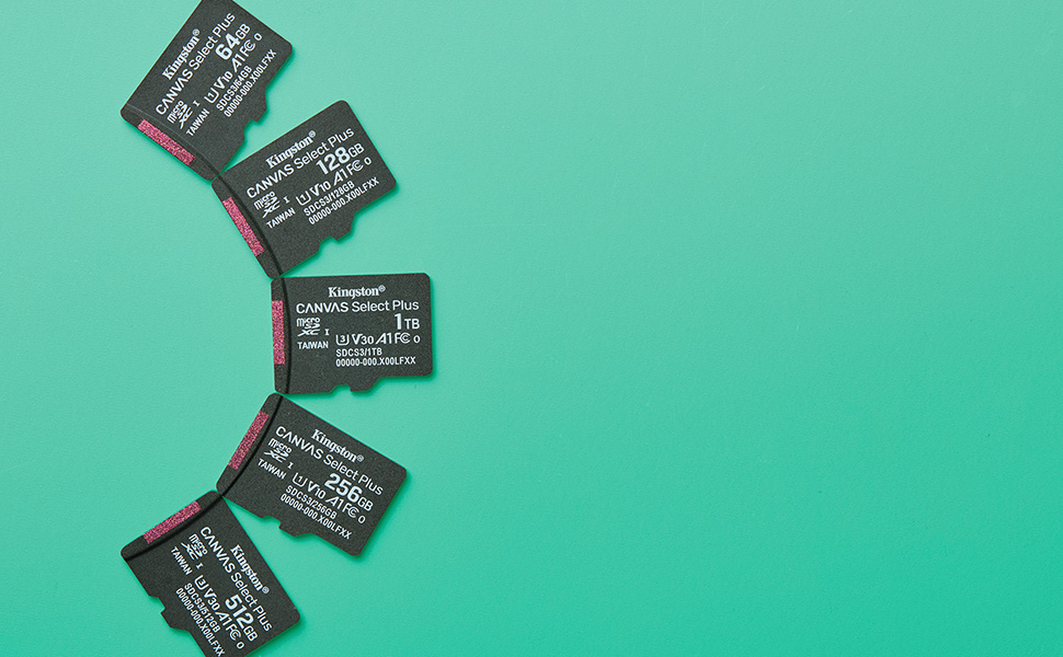 Canvas Select Plus MicroSD Gen3