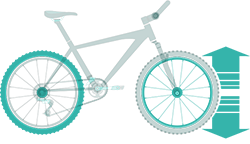 Rim