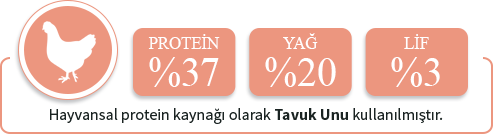 Havyansal protein kaynağı olarak sığır eti proteini kullanılmıştır.