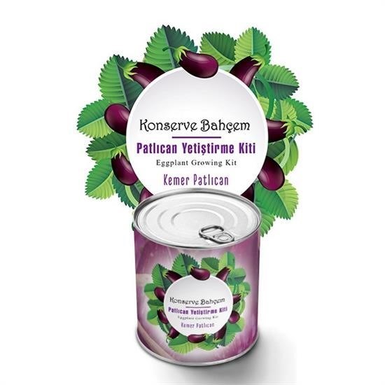 ANKAVERSE® Konserve Bahçem Evde Konservede Kemer Patlıcan Yetiştirme Kiti