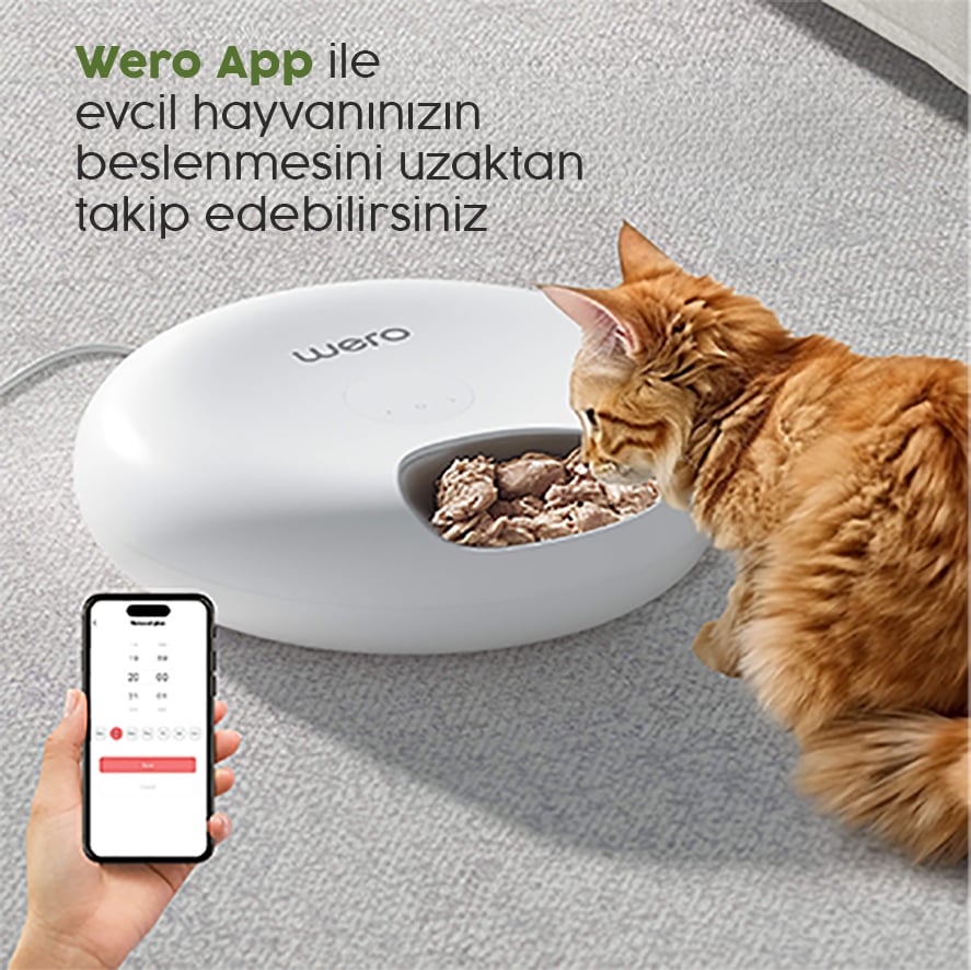 App ile Kolay Kullanım