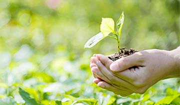 polti sani system gun ddv