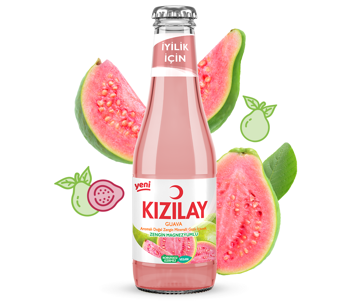 Guava[16] (1)