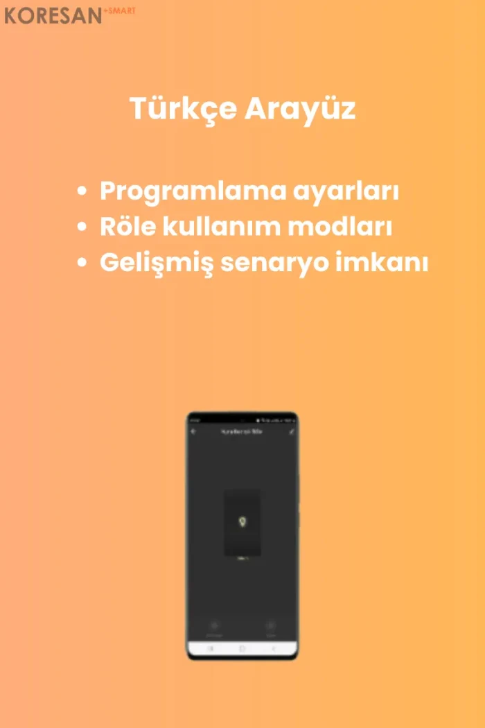 WiFi Kuru Kontak Röle Tuya uygulaması kontrol arayüzü