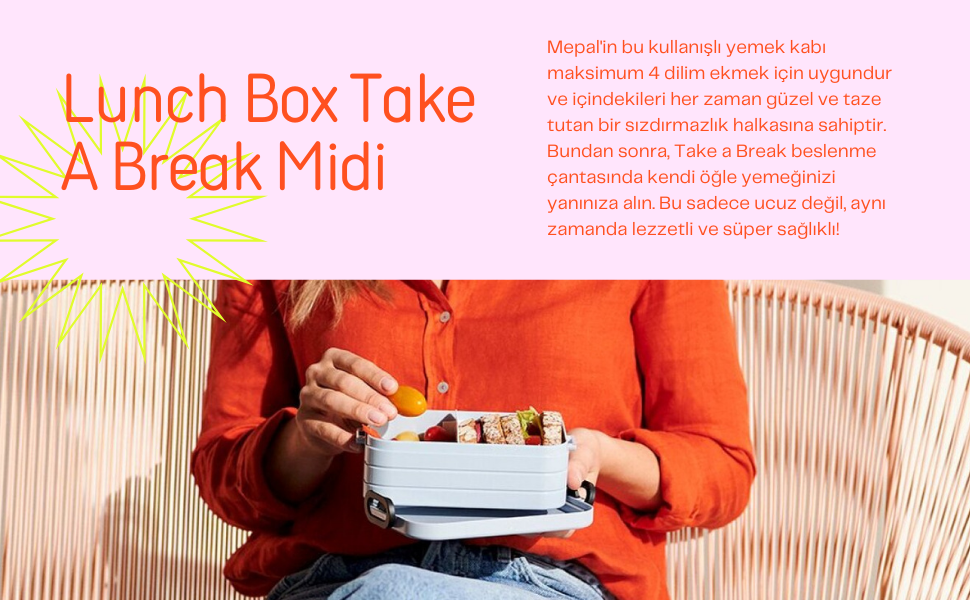 lunch box 2