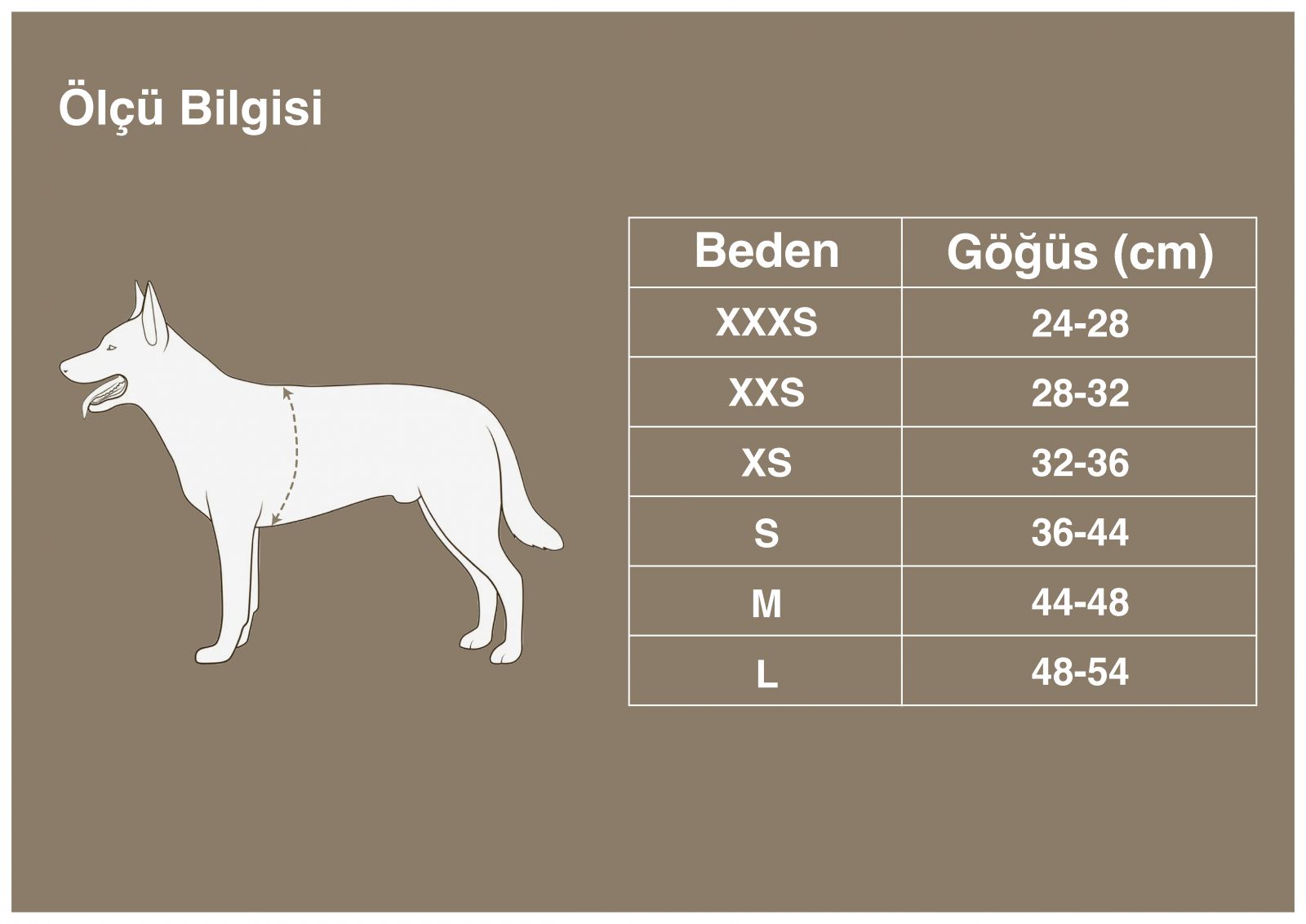 True Love Köpek Göğüs Tasması