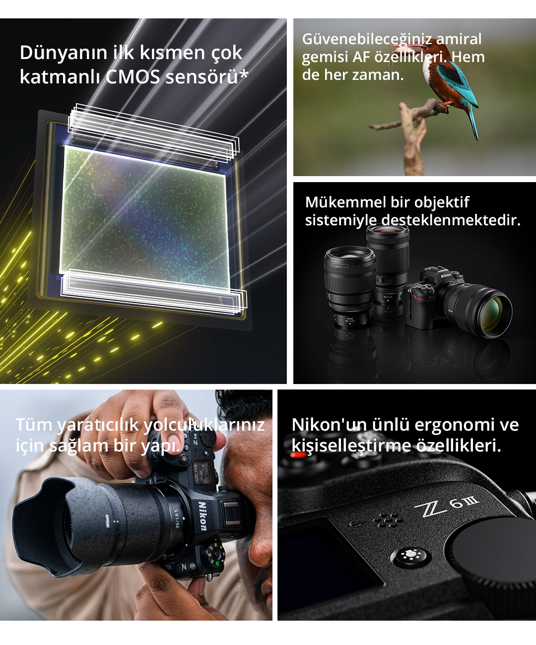 Z 6III
