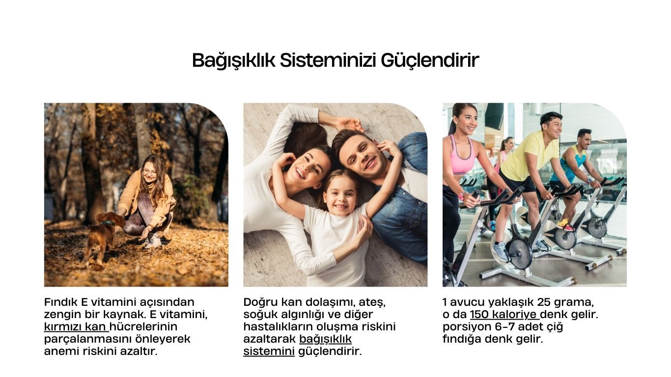 Findik 5