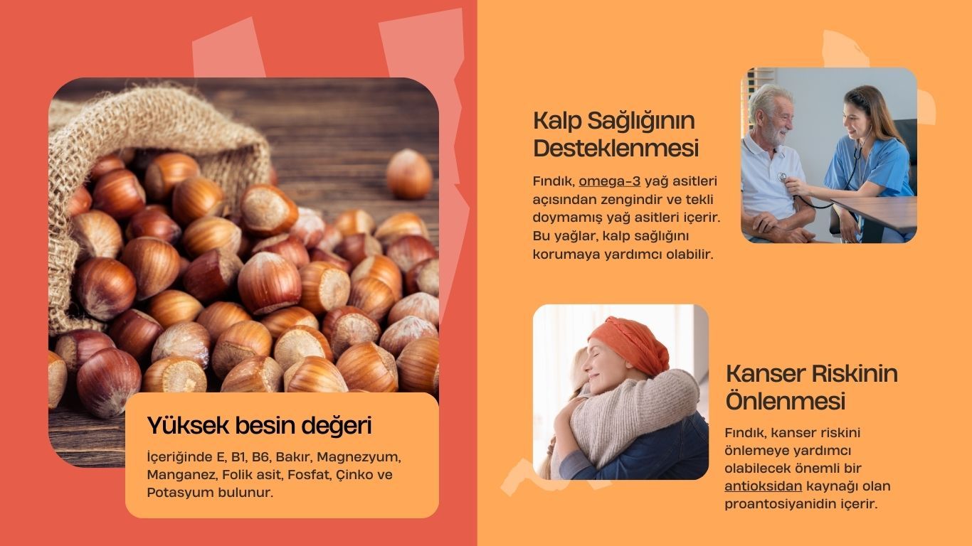 Findik 3