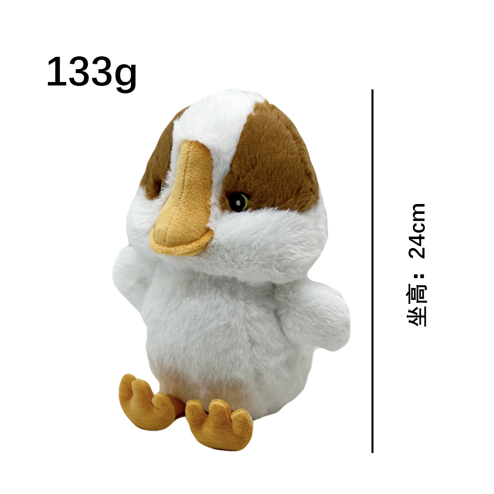 Resim 1