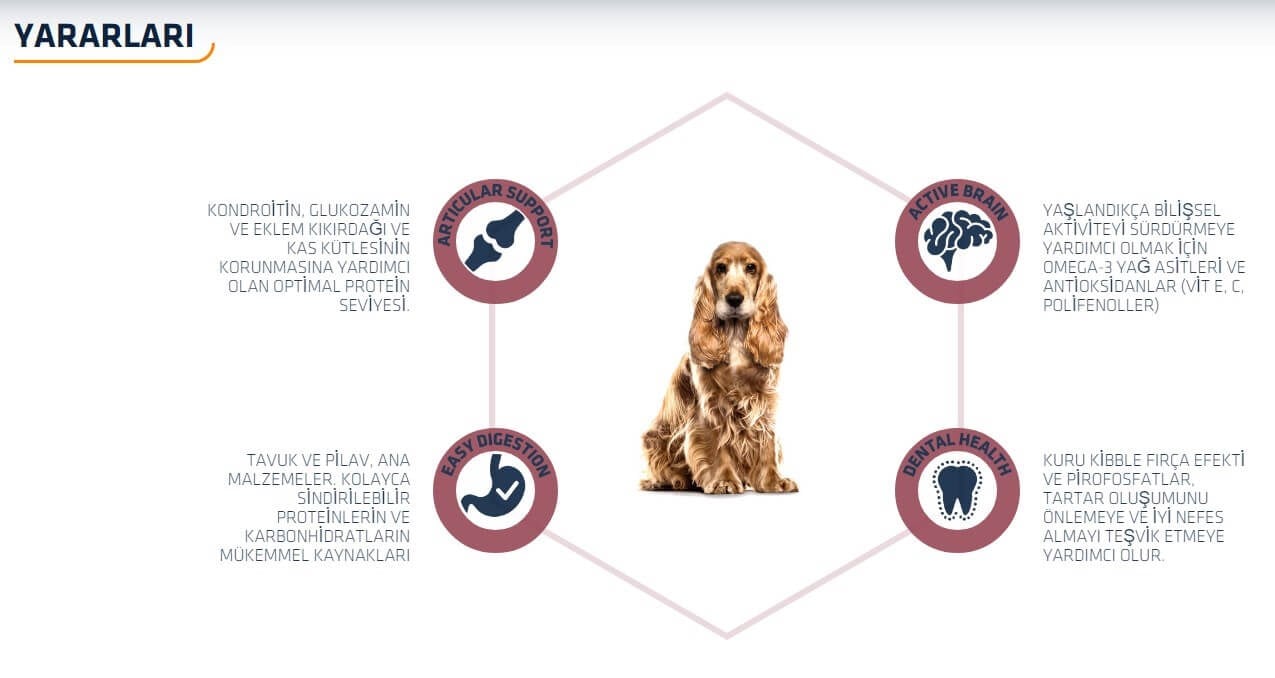Advance Senior Medium Tavuklu Orta Irk Yaşlı Köpek Maması 