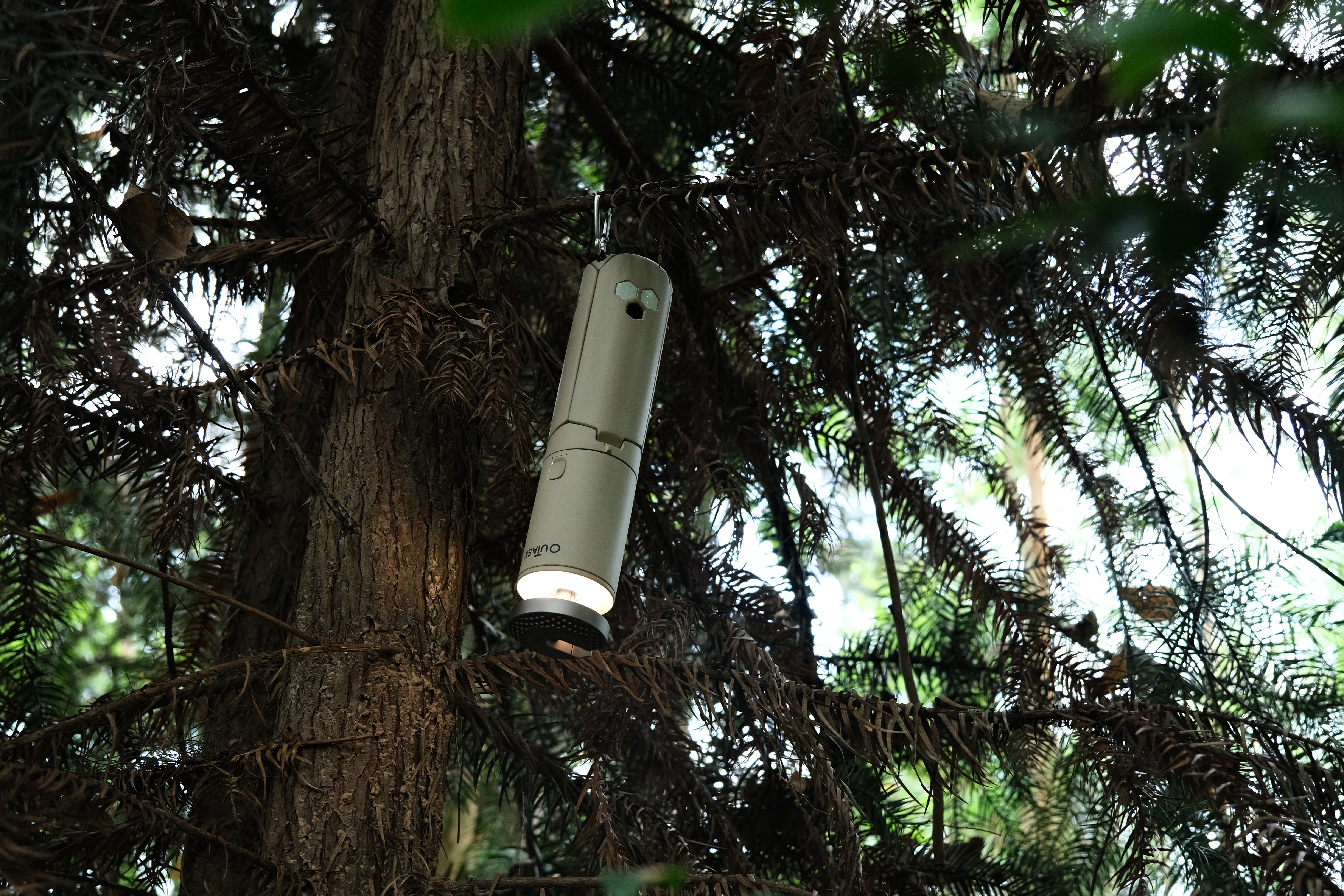 DSCF0446.JPG (15.97 MB)