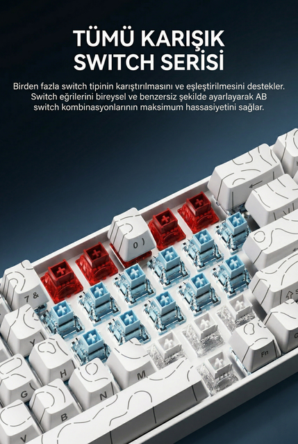 asdsafd