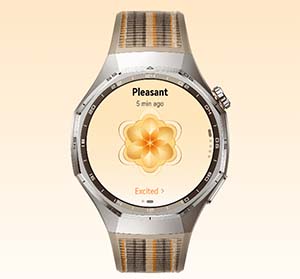 prapazar.com pazaryeri hepsiburada entegrasyonu