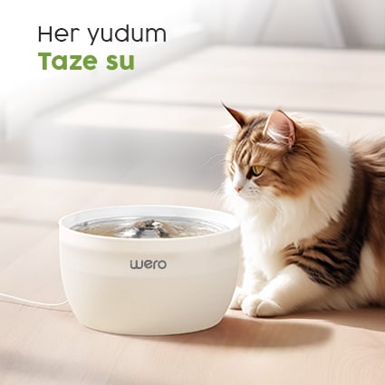 Her Yudum Taze