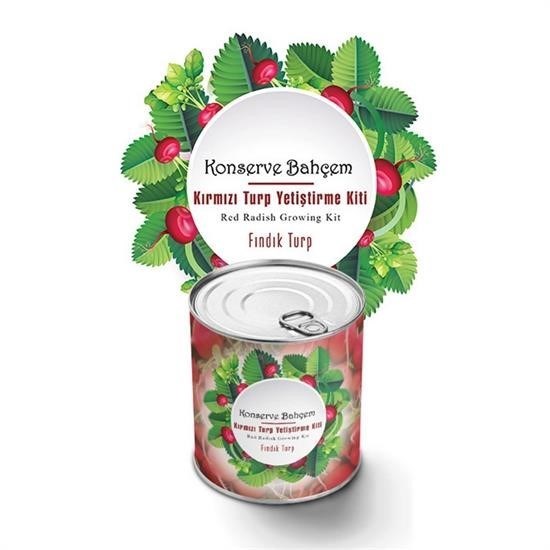 ANKAVERSE Konserve Bahçem Fındık Turp Kiti