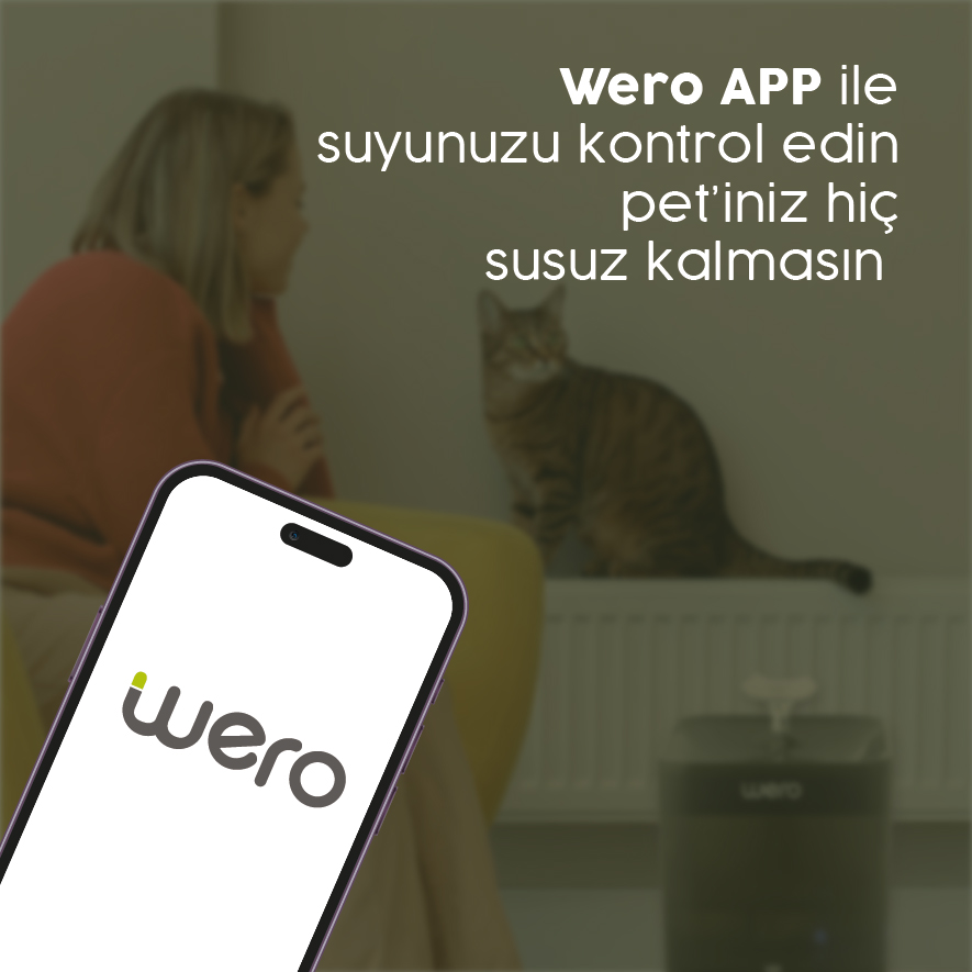 Wero App ile Kolay Kullanım
