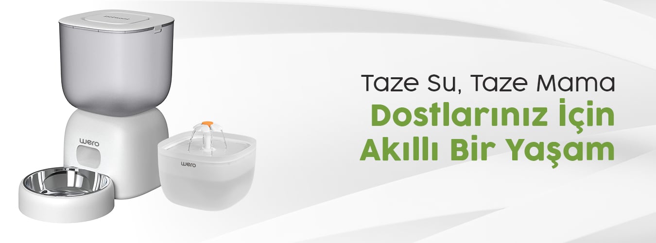 Wero Akıllı Otomatik Besleyici