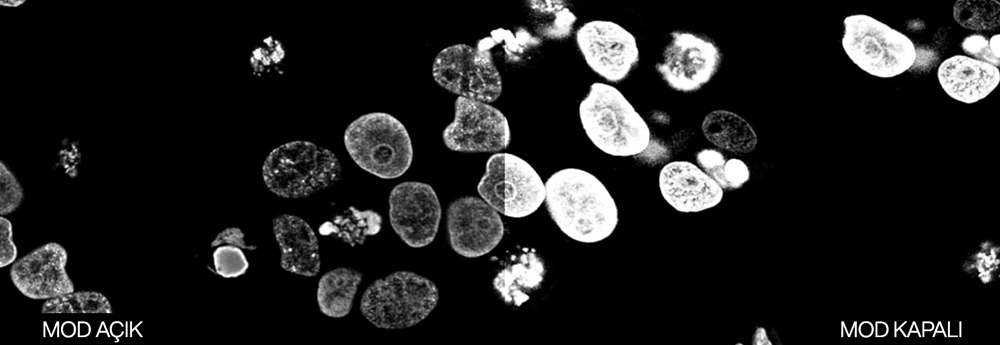 ProArt Display PA279CRV