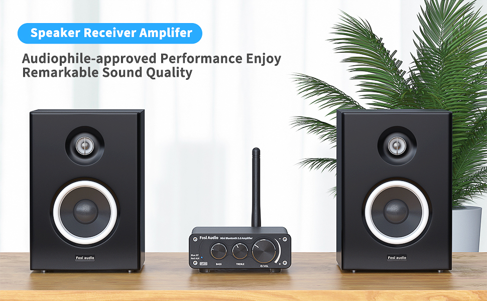 Bluetooth 5.0 Amplifikatör Stereo Ses Alıcı 2 Kanal Sınıfı D Mini Hi-Fi Entegre