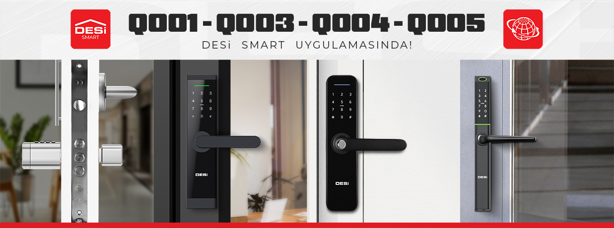 DESi QuiC Q006 Uygulama Kontrolü