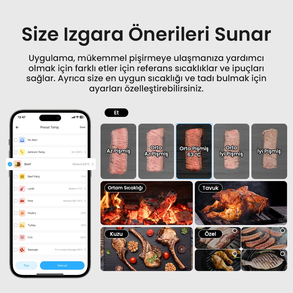 Sonoff Akıllı BBQ Et Termometresi