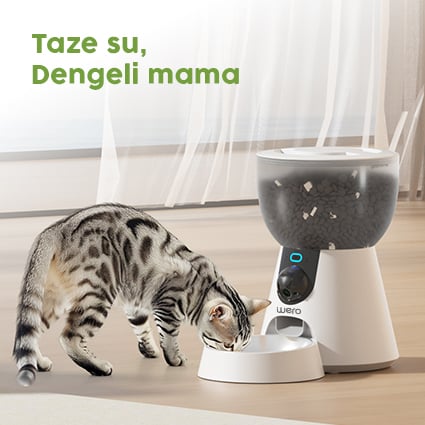 Taze Su, Dengeli Mama