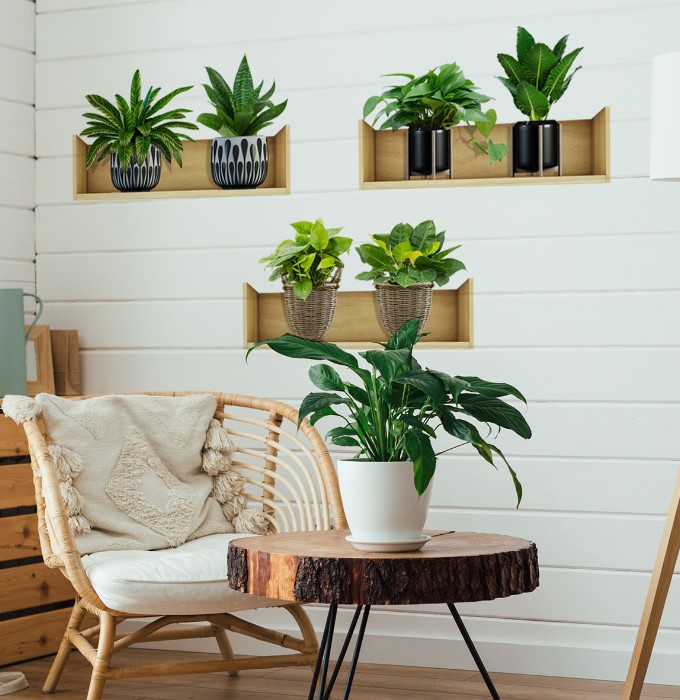 Raflı Bitki Tasarımlı Yapışkanlı Sticker - Detay