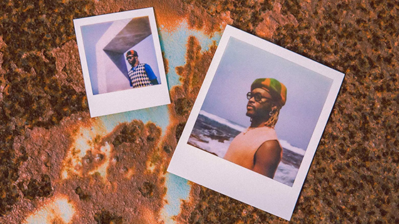 Polaroid go