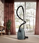 Görünür pencere ve iç mekan bitkileri ile iç mekan dekorunda halı üzerinde kullanımda olan bir elektrikli süpürgenin birden fazla görüntüsü.