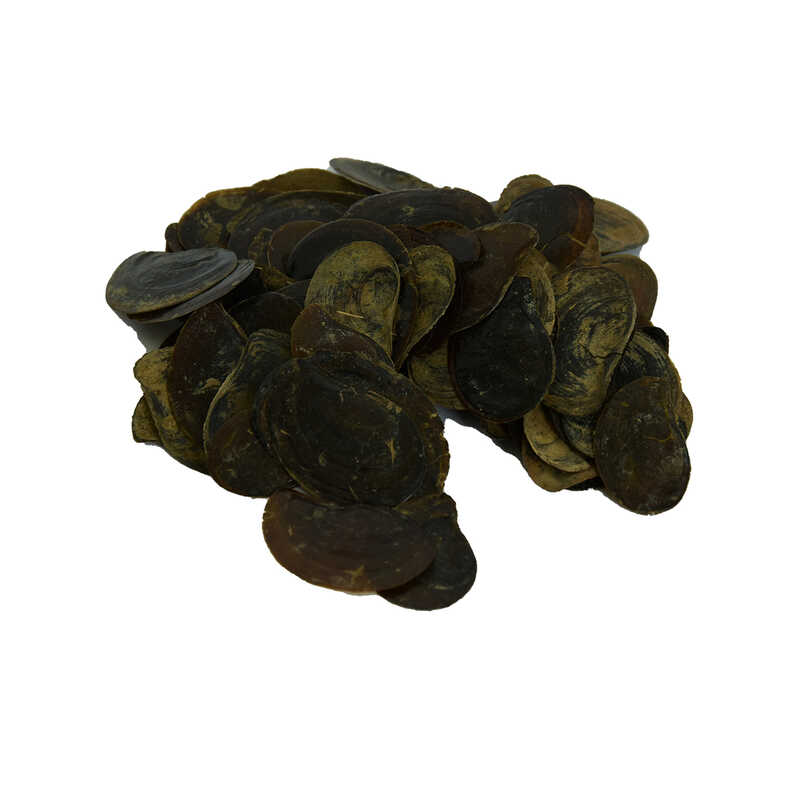 LOKMANAVM CİN TIRNAĞI