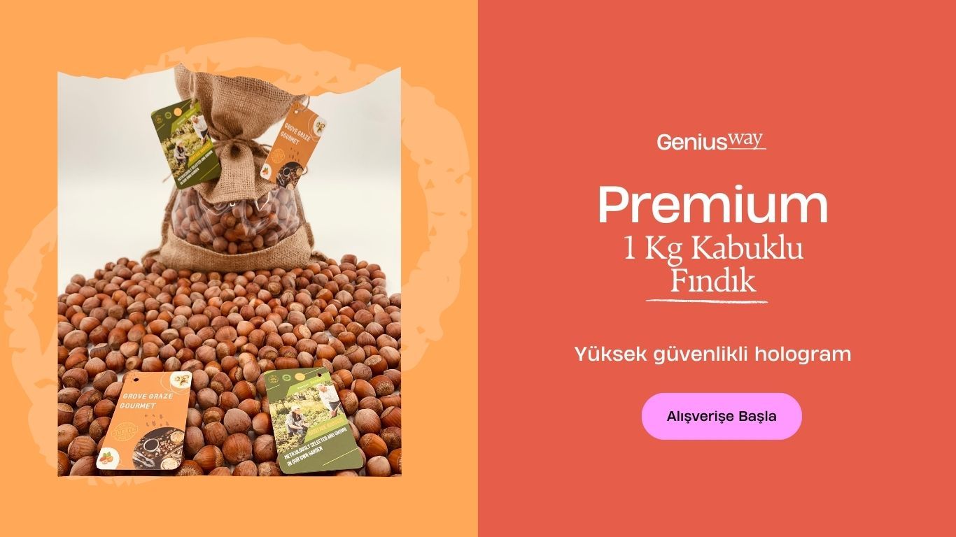 Findik 1