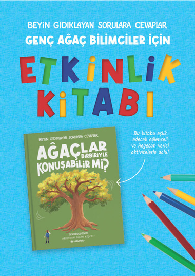 Kitap Kapagi 1
