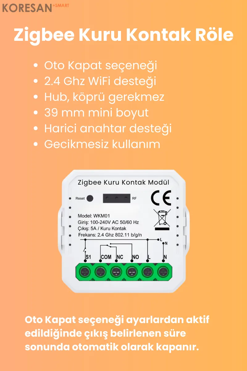 Zigbee Kuru Kontak Röle