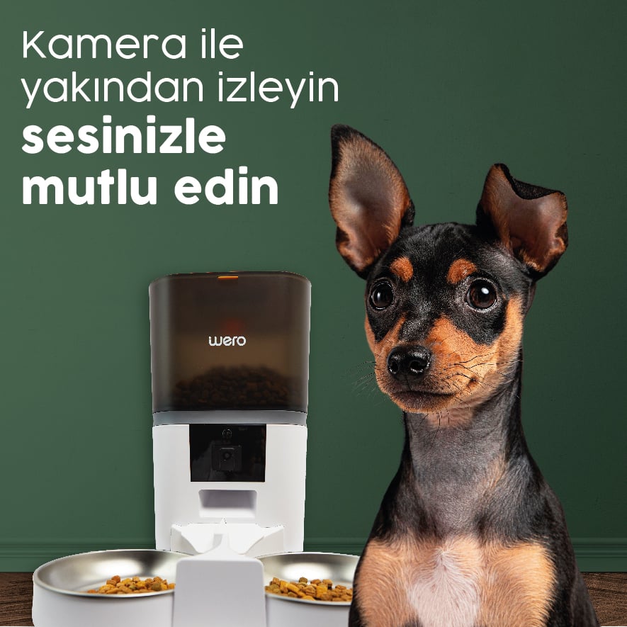 Uzak Ama Yakınsınız