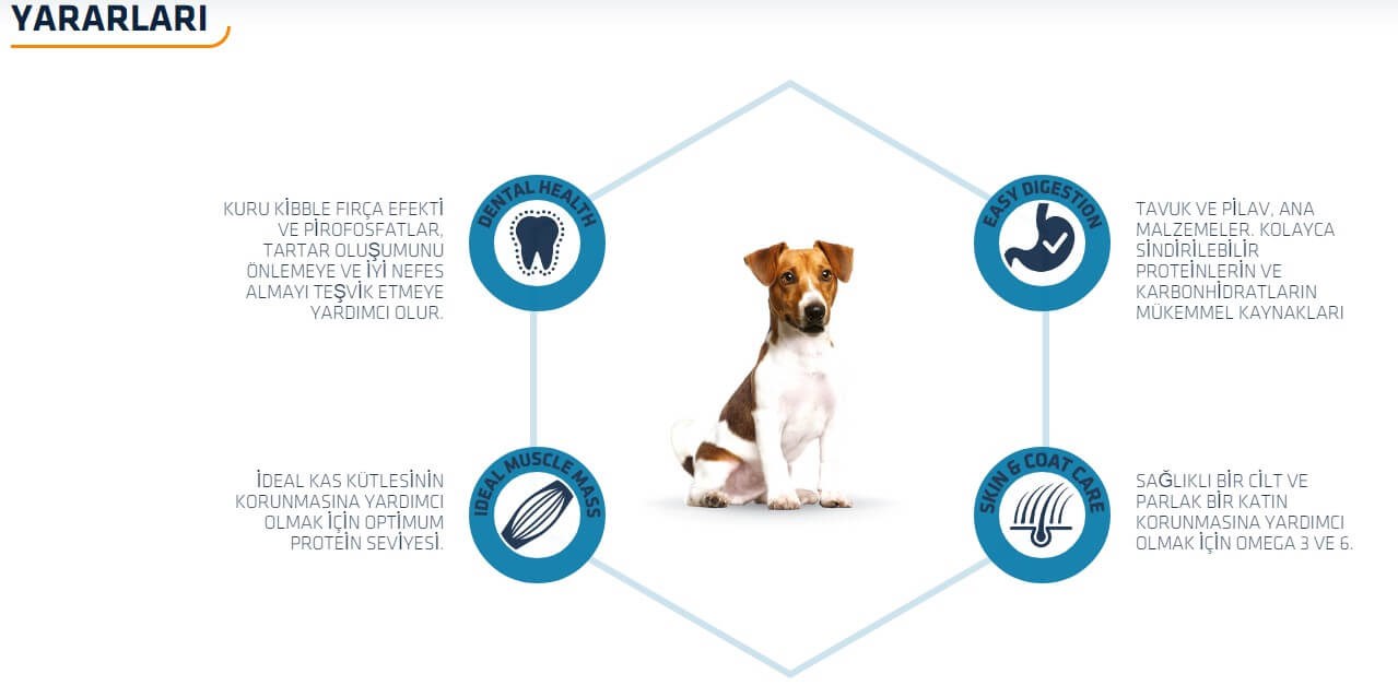 Advance Adult Mini Tavuklu Küçük Irk Yetişkin Köpek Maması