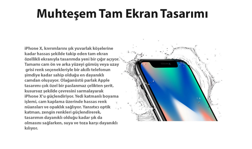 iPhone X