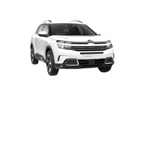 C5 CİTROEN