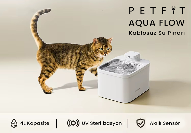 PETFİT