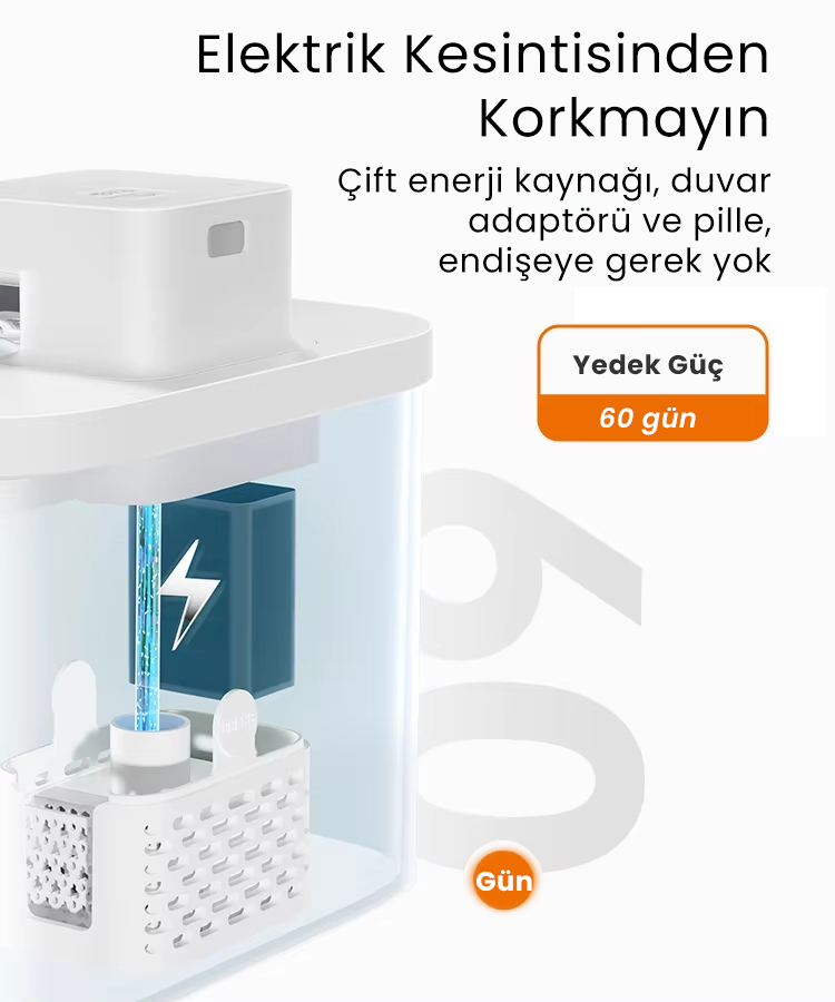 PETFİT