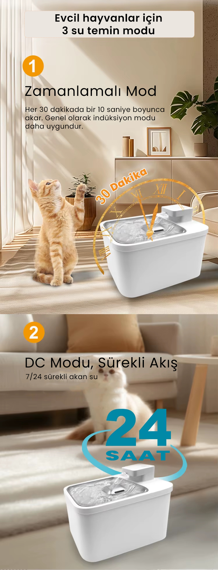 PETFİT