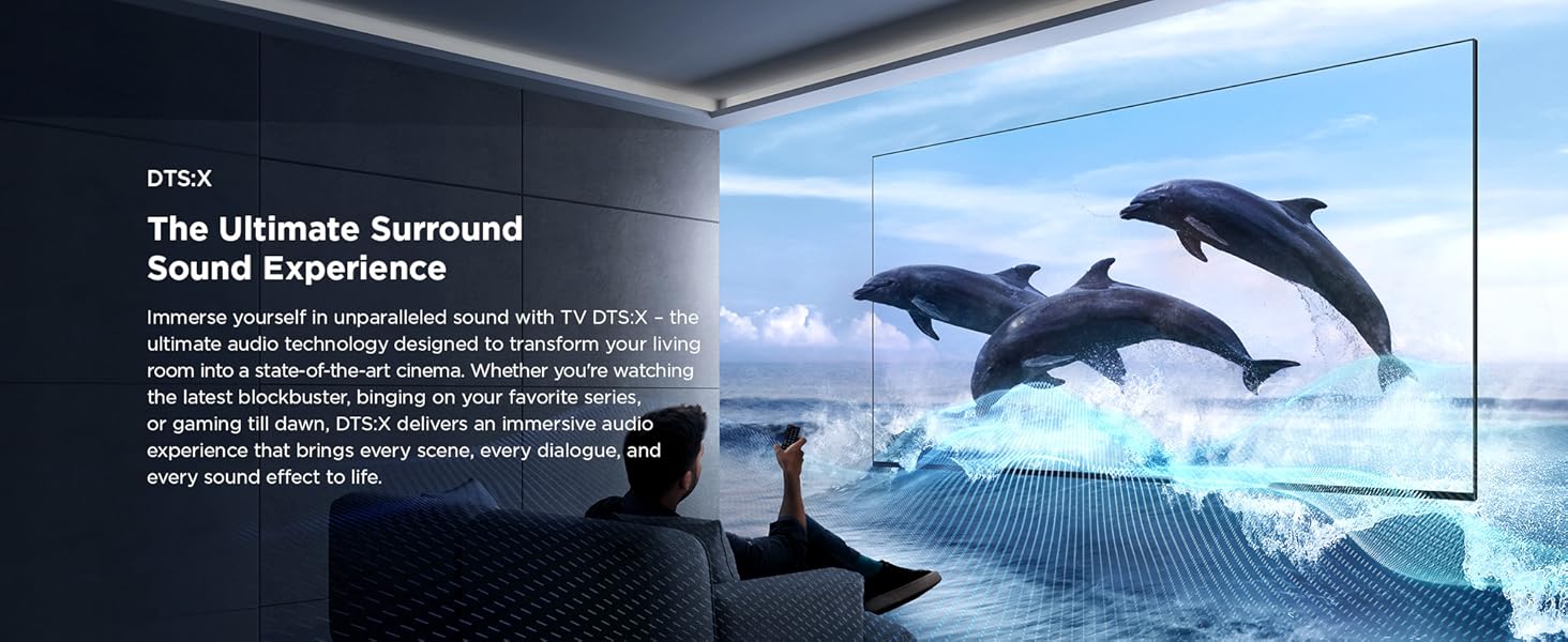 5-3_T6C_A+_PC_DTS HD.jpg