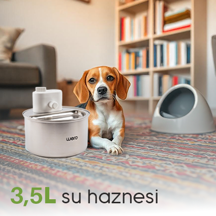 3,5 L Büyük Hazne