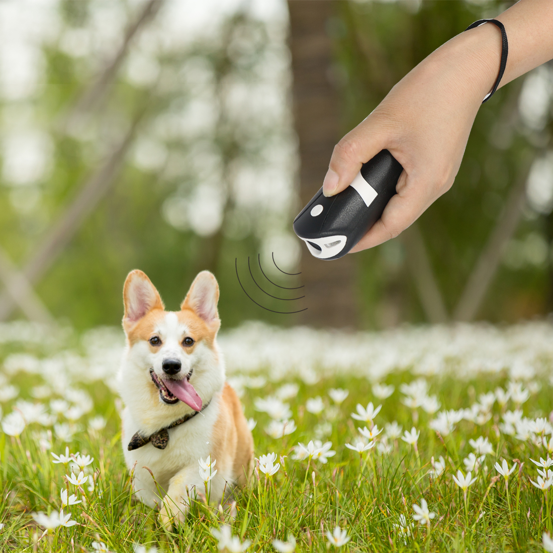 anti barking device